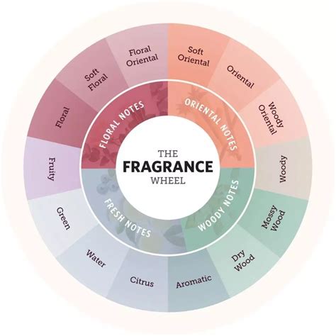 perfume flavours|best scents to smell like.